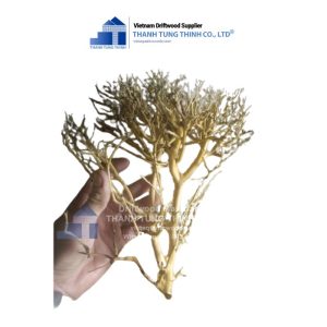 natural sansan driftwood
