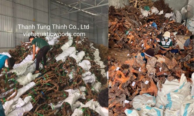 natural driftwood supplier