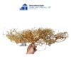 sansan driftwood for aquarium