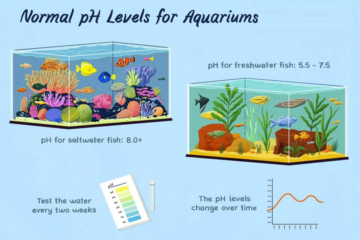 Normal pH levels for aquariums