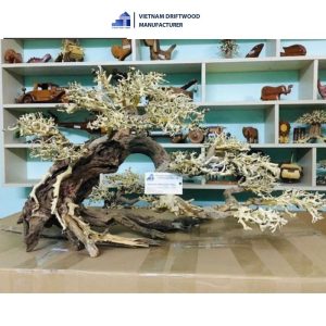 right-tilted bonsai driftwood