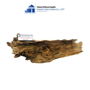sanda driftwood 2