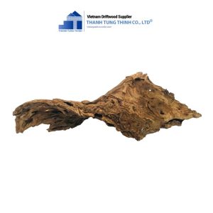 Alternative view of Natural Sanda Driftwood for Fish Tank