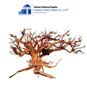 Sa Tung Woods for Aquariums