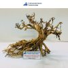 slanted trunk bonsai driftwood