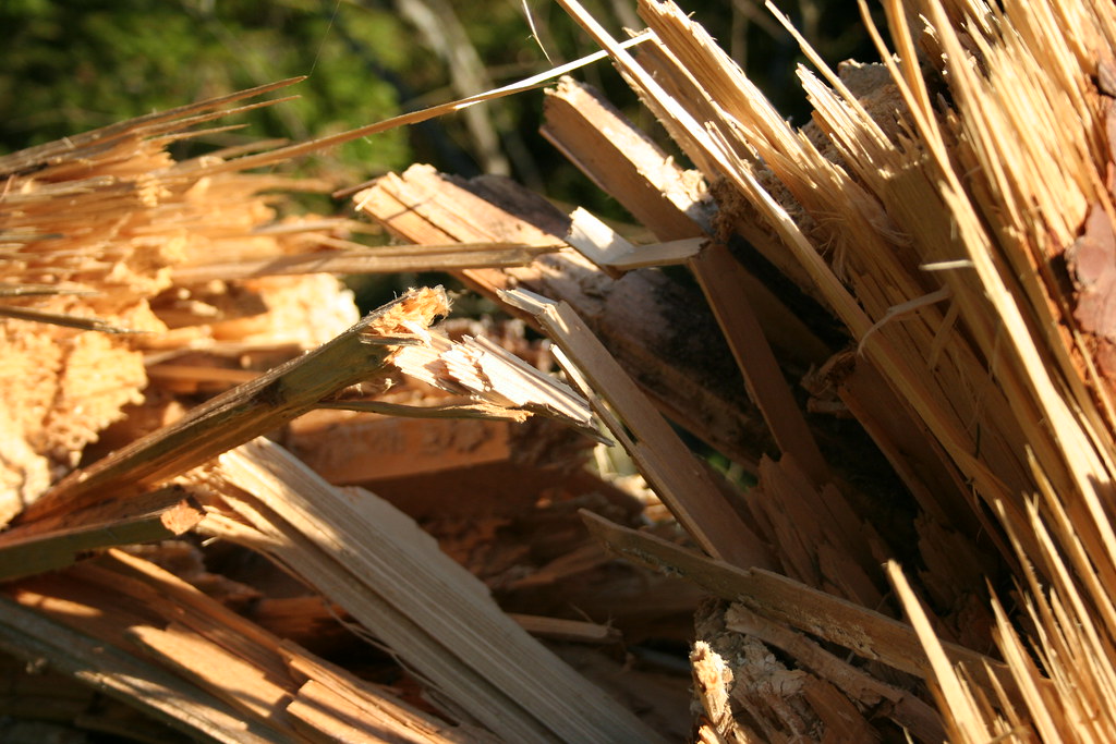 Regular wood chews like pine or oak can break into sharp splinters