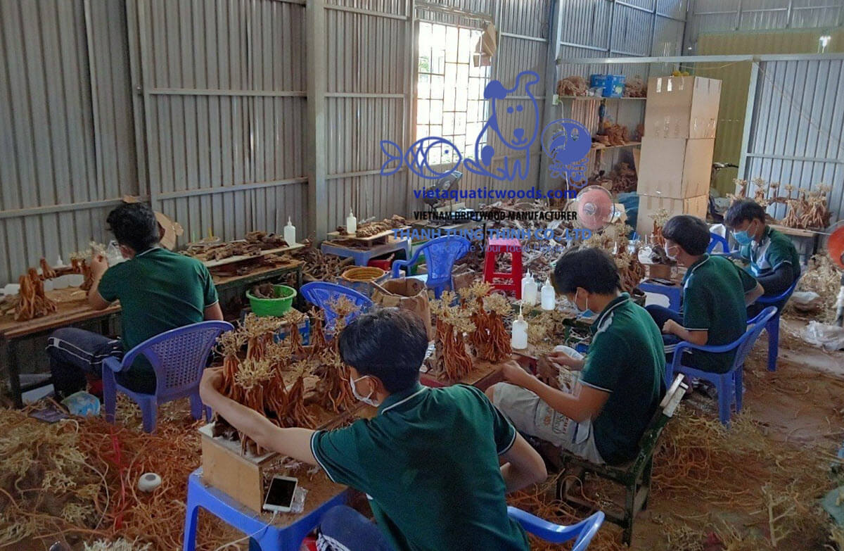 Why work with a direct bonsai driftwood supplier?