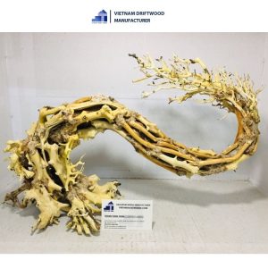 winding bonsai driftwood