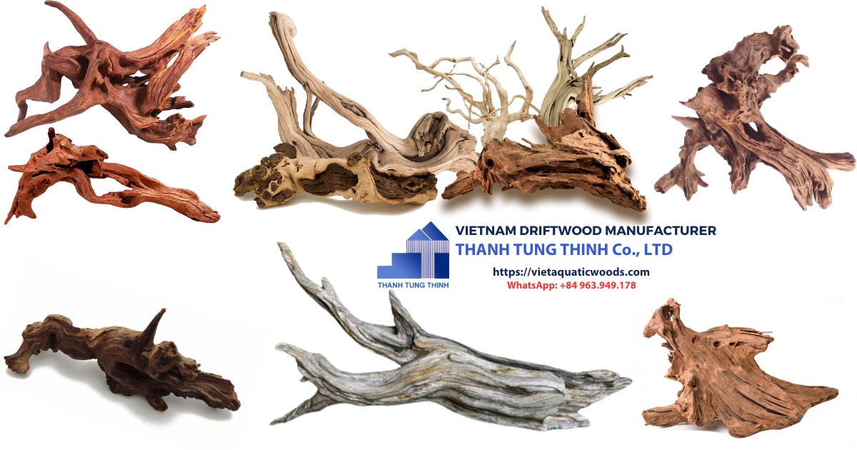 Wood species that are safe for your aquarium