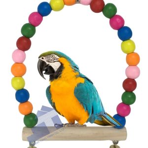 wooden parrot toy
