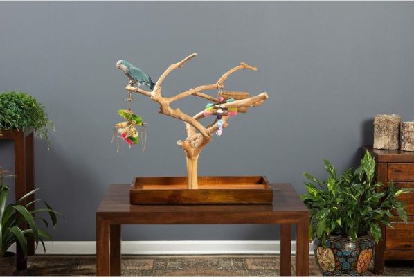 Java Wood Bird Perch Manufacturer