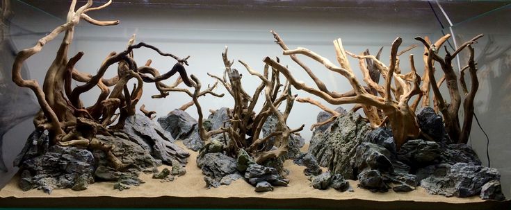 Natural Aquarium Driftwood Supplier