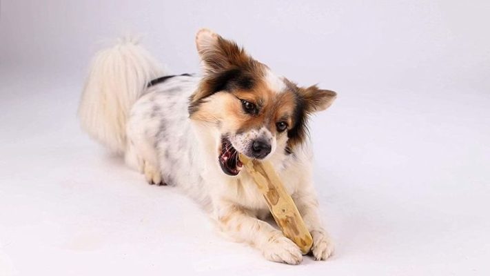 Java Wood Dog Chews