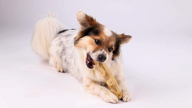 Java Wood Dog Chews