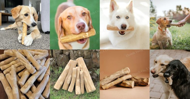 Coffee wood dog chew