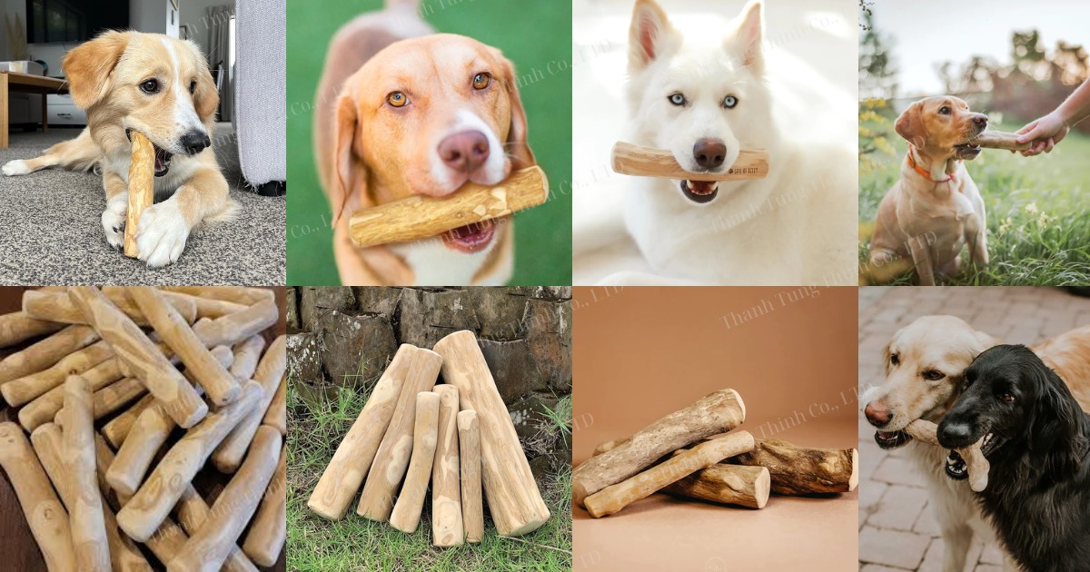 Coffee wood dog chew