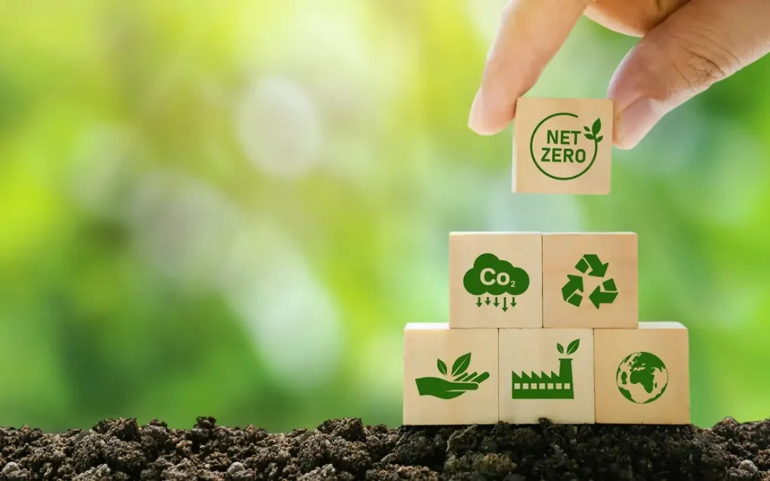 Modern consumers increasingly prioritize sustainability