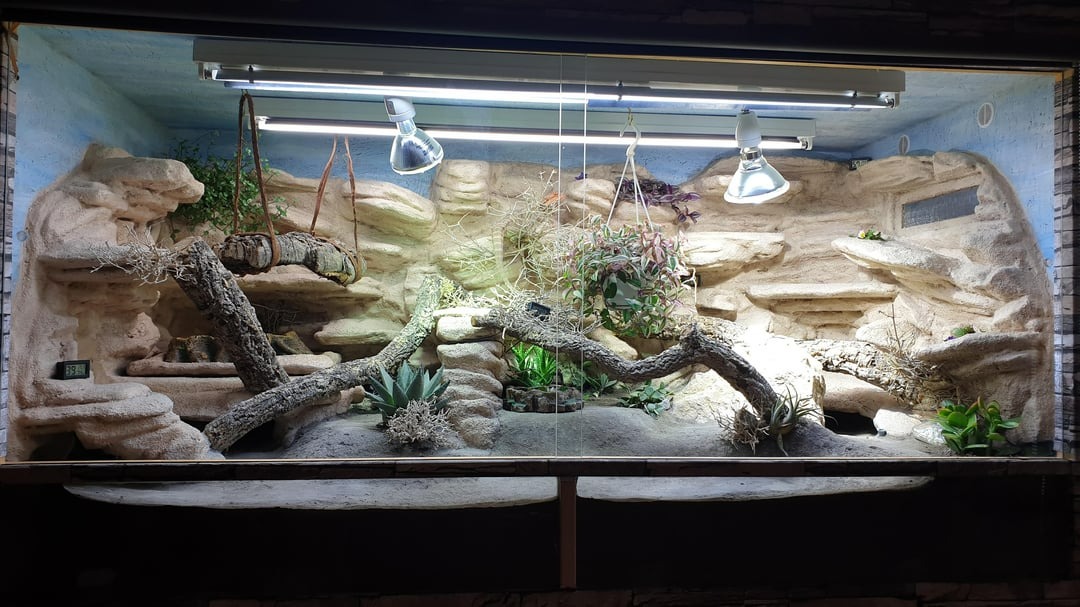 Add visual appeal to terrariums