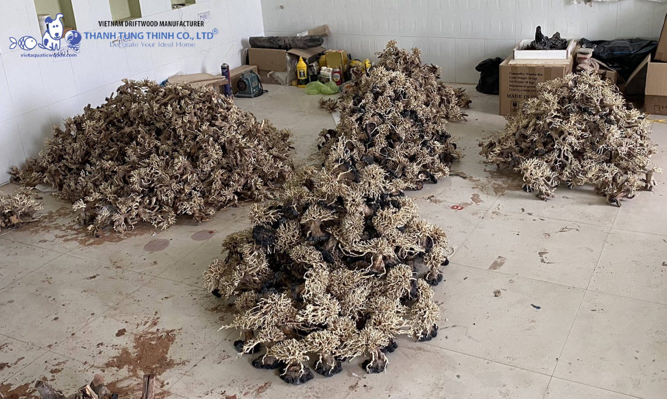 bonsai driftwood wholesale