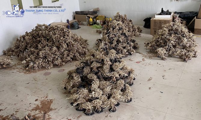 bonsai driftwood wholesale