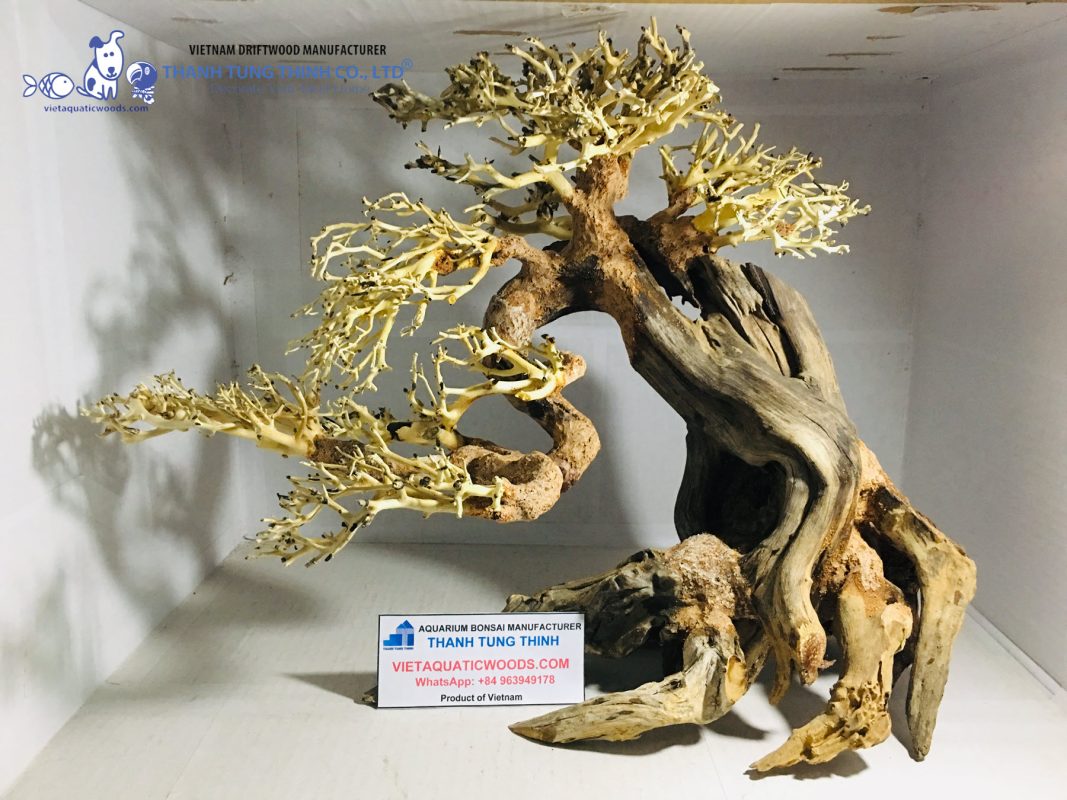Aquarium bonsai tree made from slight driftwood