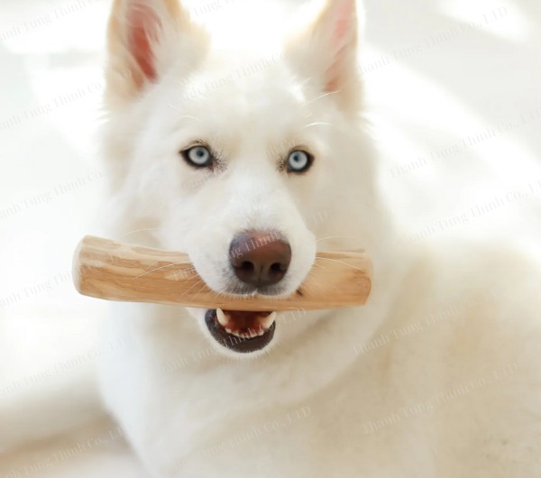 coffee dog chew