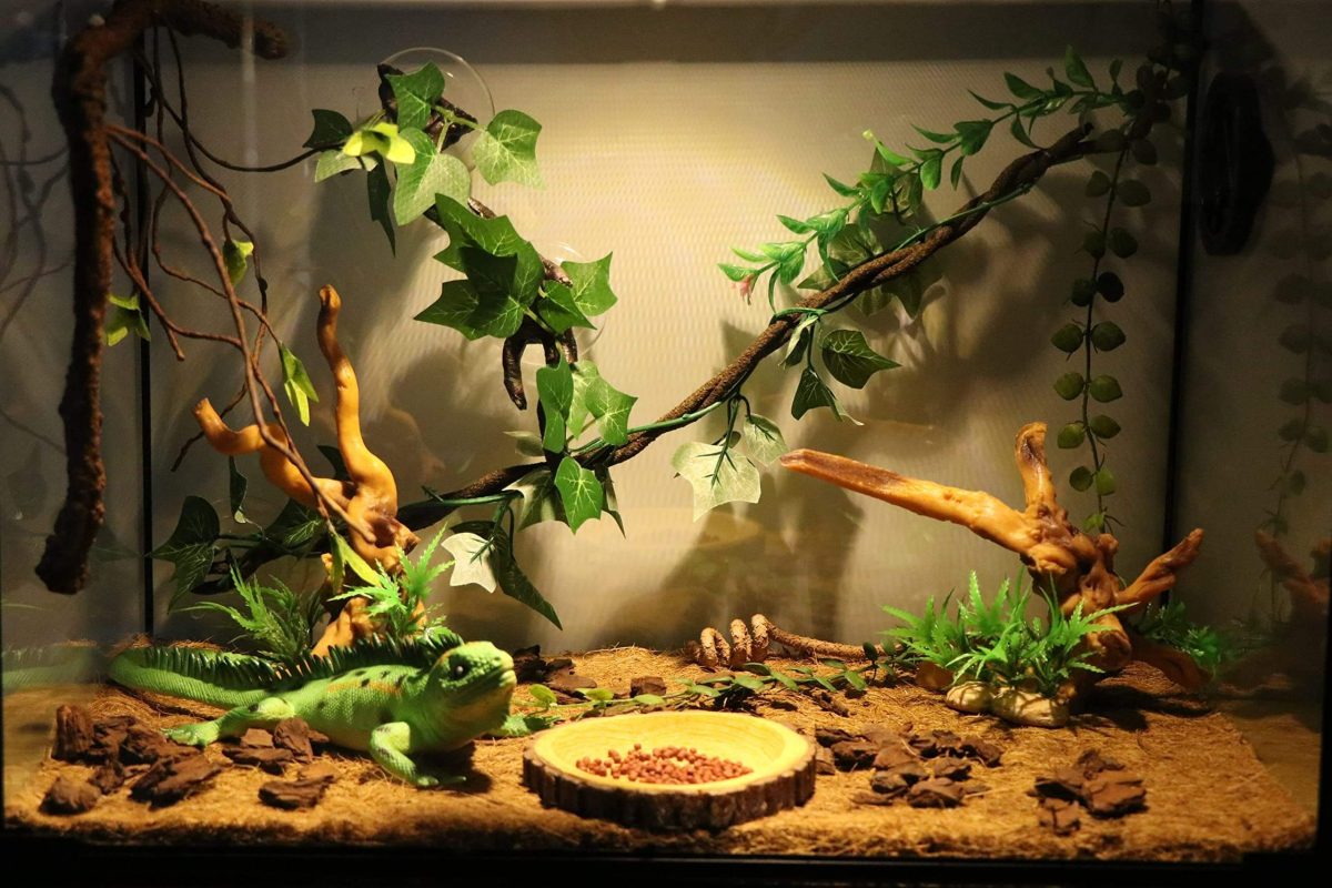 Combine with other natural decor