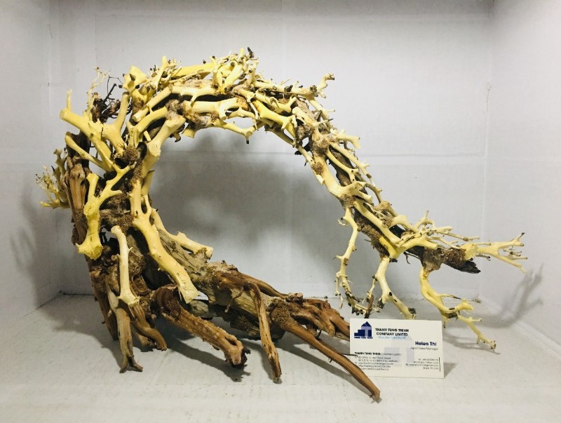 Curved bonsai driftwood