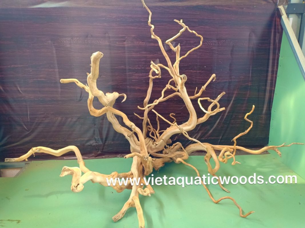 Do Quyen Wood/Spider Wood