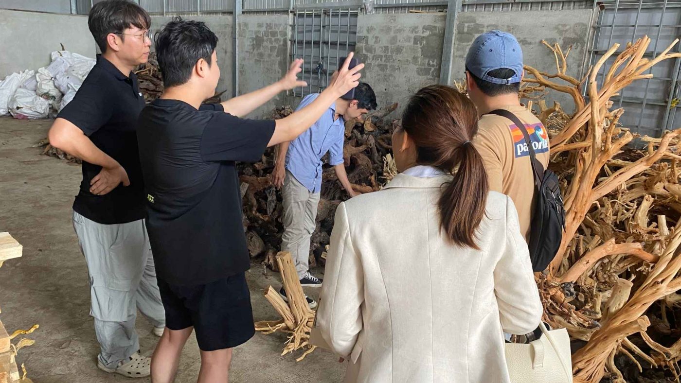 bonsai driftwood factory tour