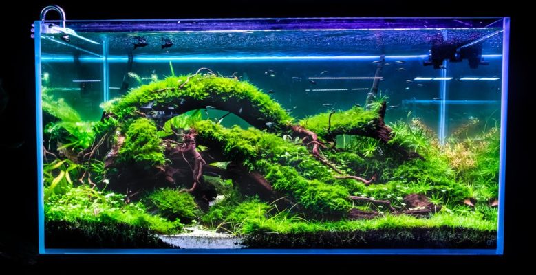 Aquarium Parts And Accessories