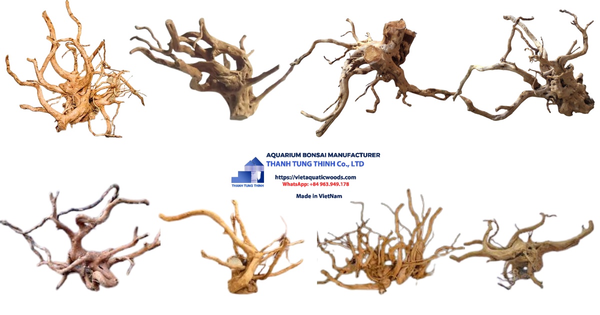 Sa Tung Driftwood Supplier
