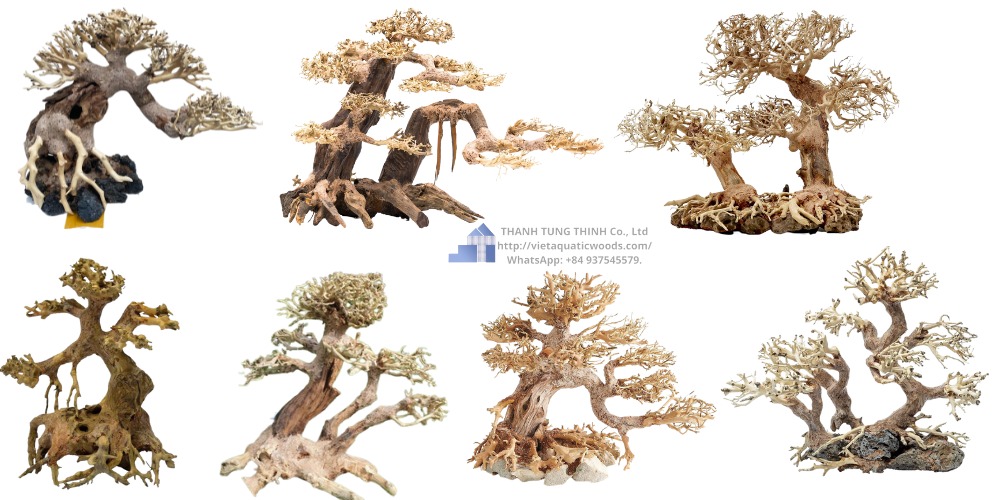 Top 8 Large and Extra-Large Bonsai Driftwood Designs to Elevate Your Aquascape – Direct from Manufacturer