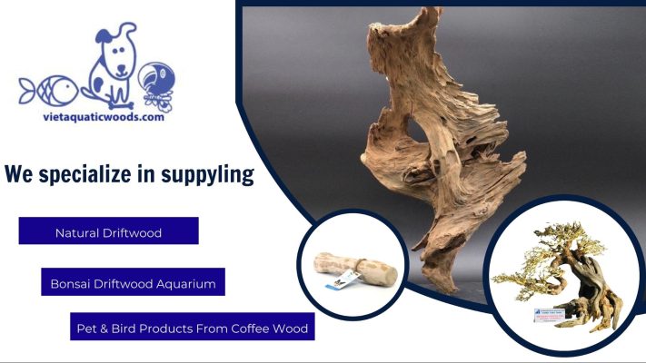 Wholesale Driftwood Suppliers
