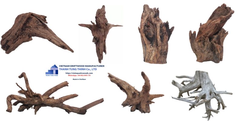 Huge Roots Natural Driftwood