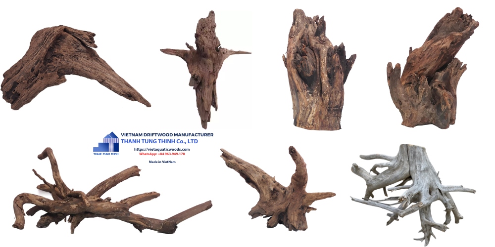 Huge Roots Natural Driftwood