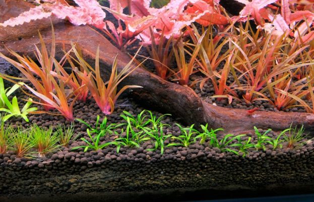 Aquarium Accessories