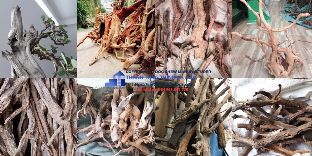 Linhsam Driftwood Supplier
