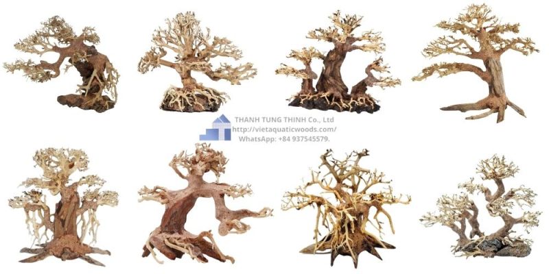 Medium Bonsai Driftwood Manufacturer