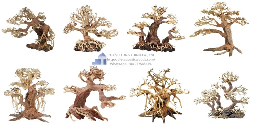 Medium Bonsai Driftwood Manufacturer
