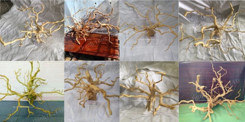 Do Quyen Driftwood Supplier