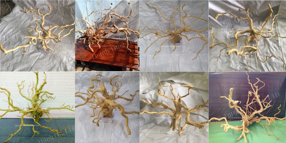 Do Quyen Driftwood Supplier
