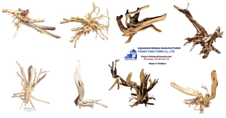 Thanh Lieu Driftwood Supplier