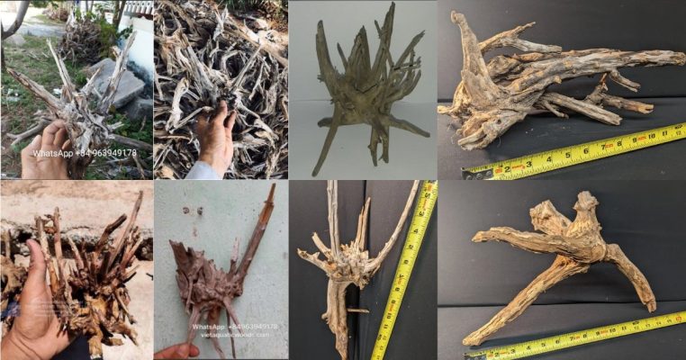 Driftwood Suppliers