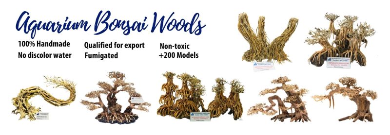 Driftwood Supplier