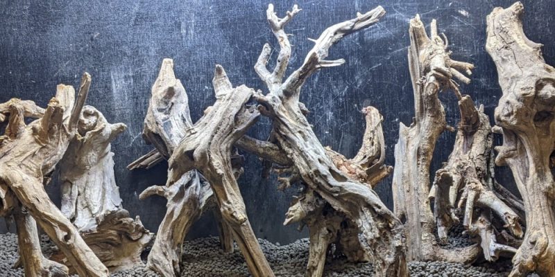 Comnguoi Driftwood Supplier