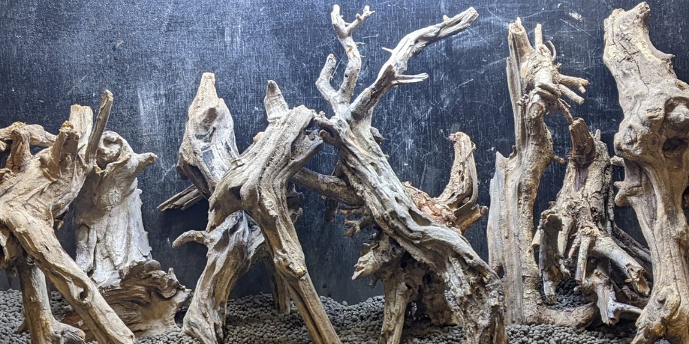 Comnguoi Driftwood Supplier