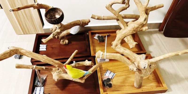Java wood bird perch