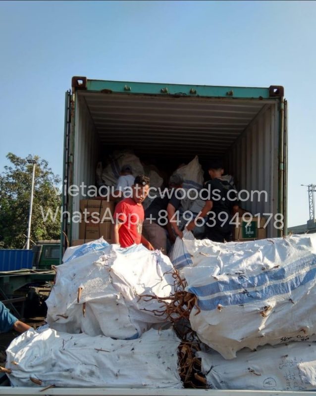 Request samples and pay attention to packaging and shipping