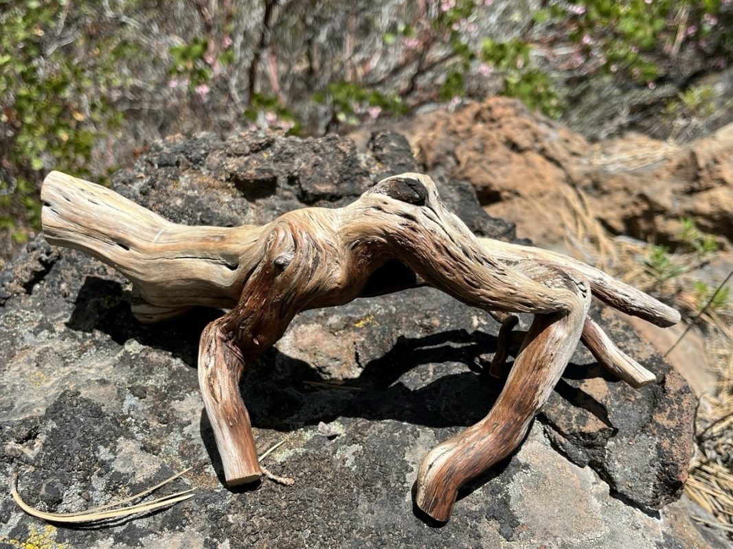 natural driftwood